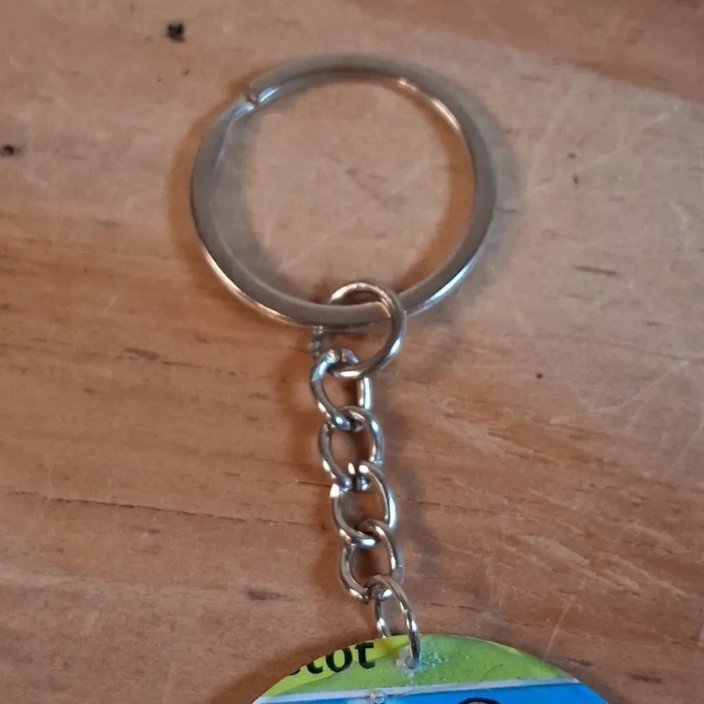 Handmade Kricketot Keychain Resin Card Round Keychain Ladybug Gold Chain
